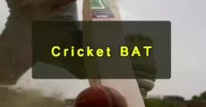 Best Cricket Bat Size using Internationally