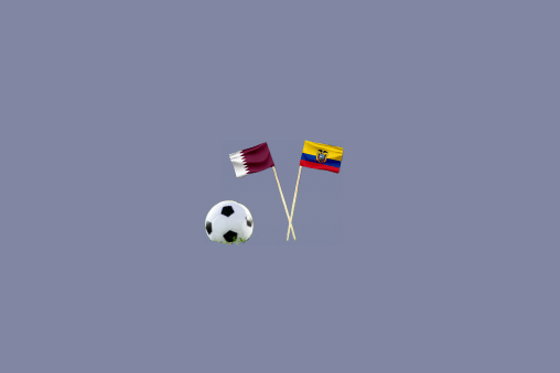 qatar vs ecuador match 