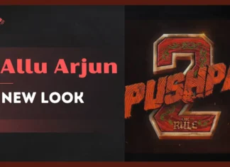Pushpa 2 full movie in Hindi download