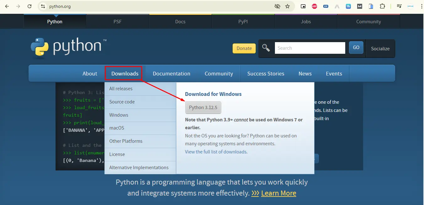 python download